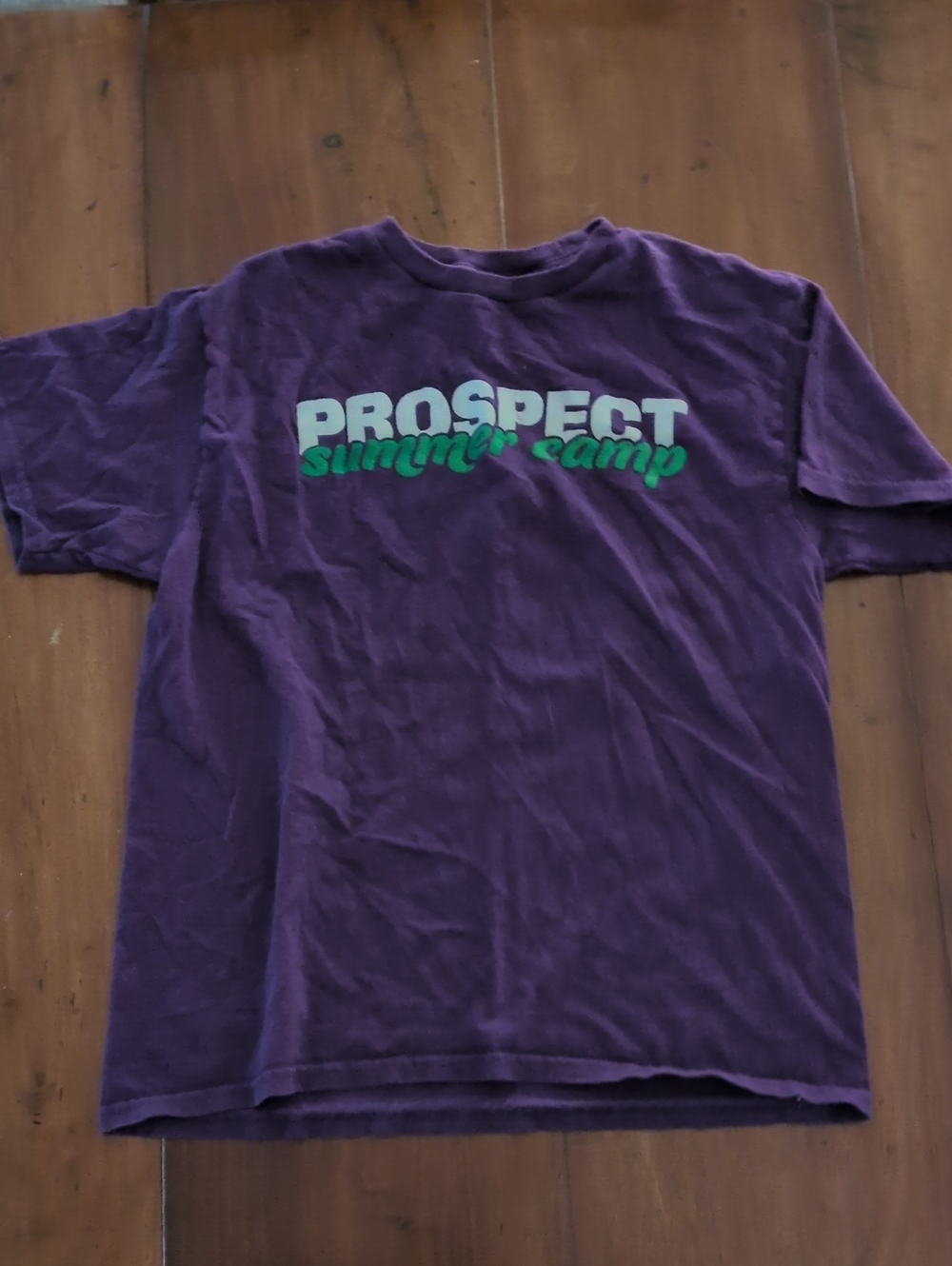 Kids Prospect Summer Camp Purple Graphic T-Shirt